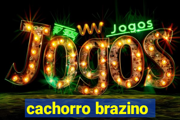 cachorro brazino