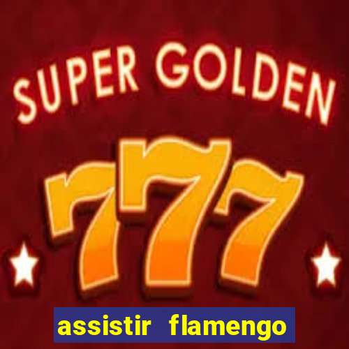 assistir flamengo futebol play hd