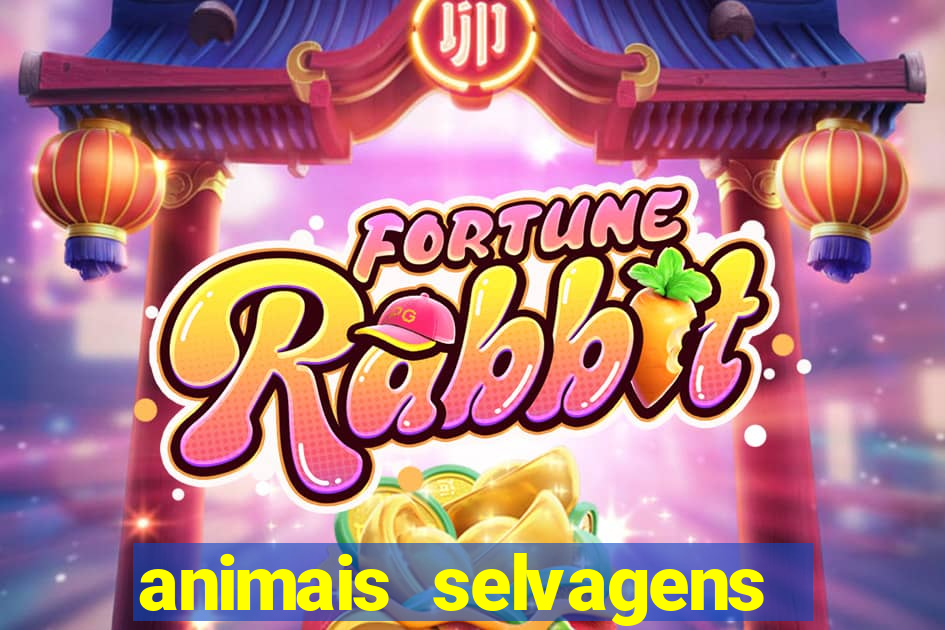 animais selvagens fotos e nomes