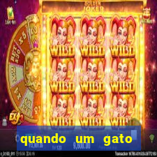 quando um gato aparece do nada significado espiritual